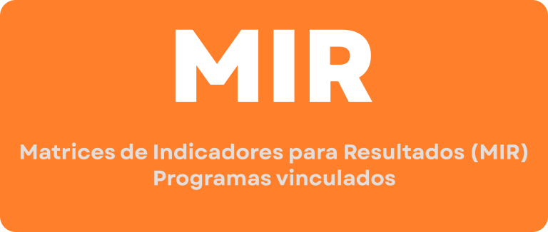 Imagen de MIR