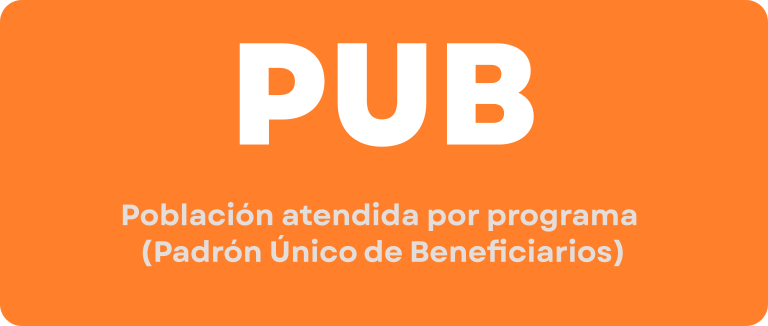 Imagen de PUB - Padrón Único de Beneficiarios
