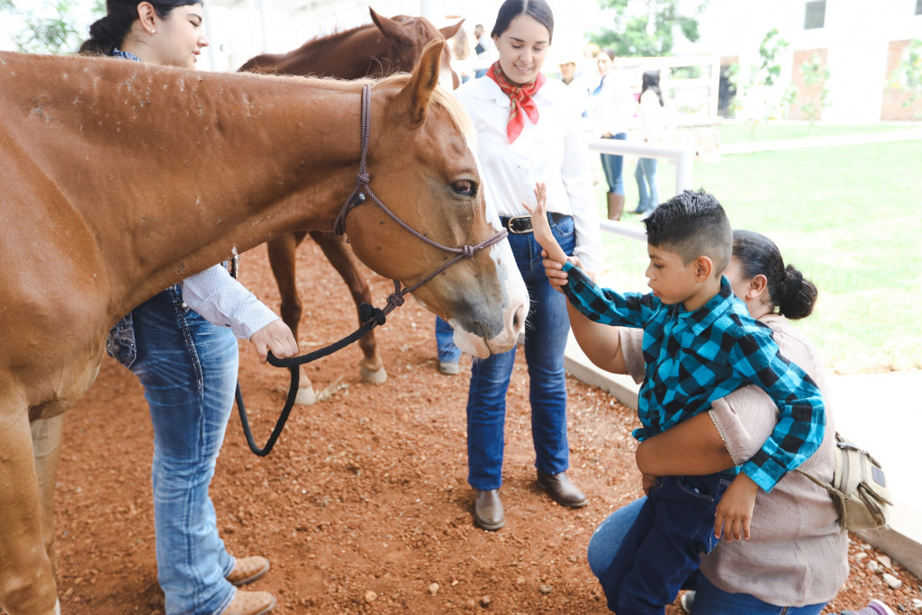Gamaliel Gerardo conoce a uno de los caballos que apoyarán en el Centro de Equinoterapia inaugurado en Etzatlán.