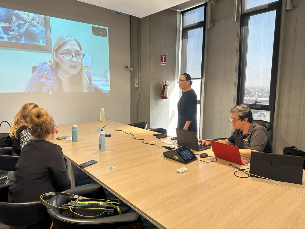 Ponentes conectados a la capacitación virtual