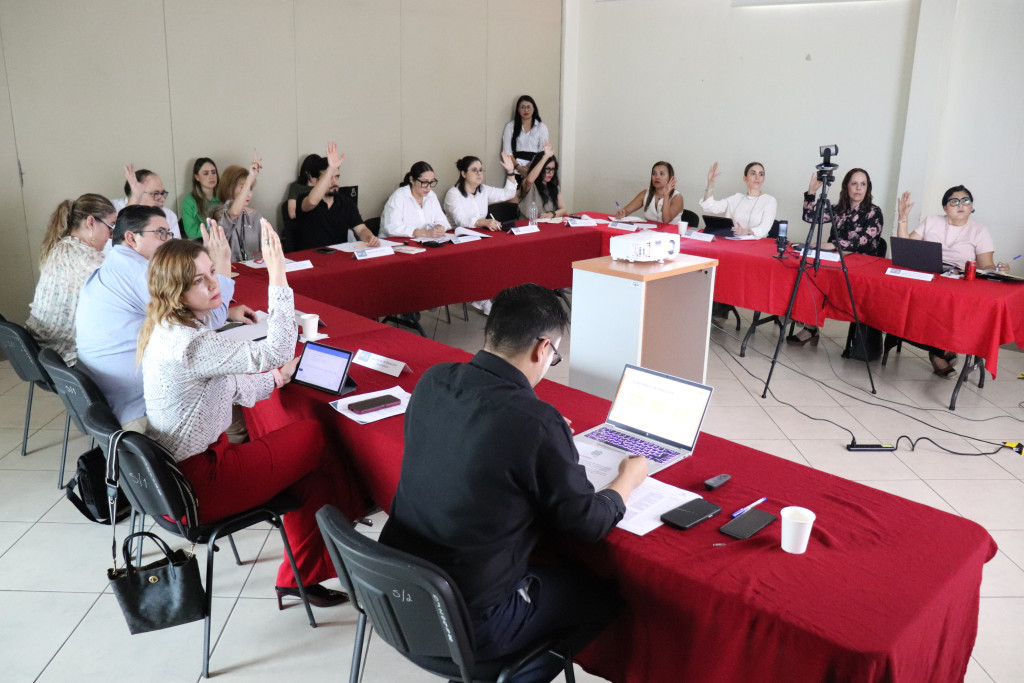En sesión de la Comisión Técnica de Promoción y Sensibilización  de la Cultura de Cuidados